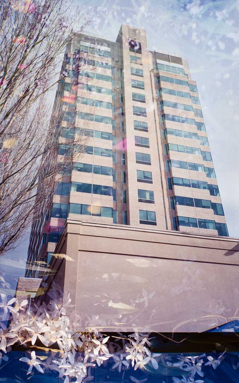 Double exposure of a building in winter mixed with flowers in spring