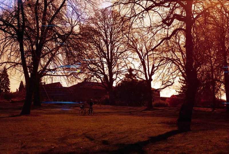 Redscale film photo of a park scene