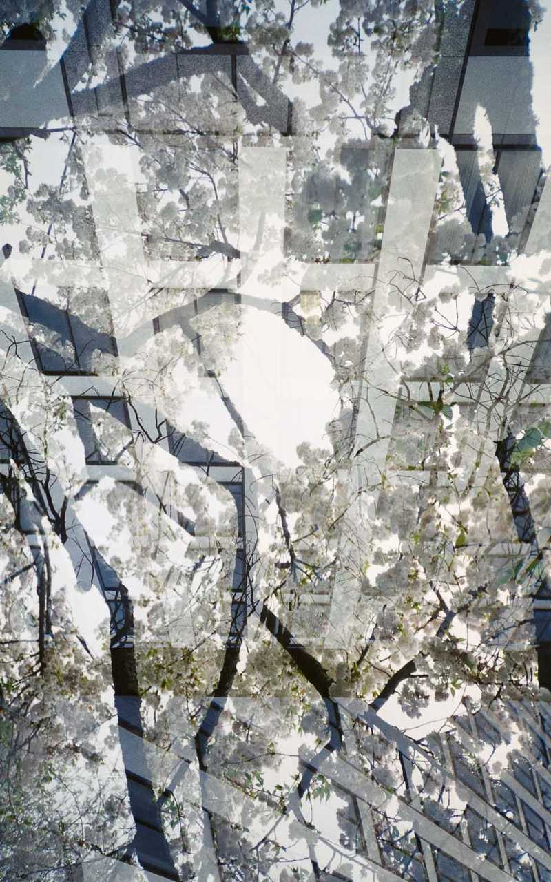 Double exposure of a building in winter mixed with flowers in spring