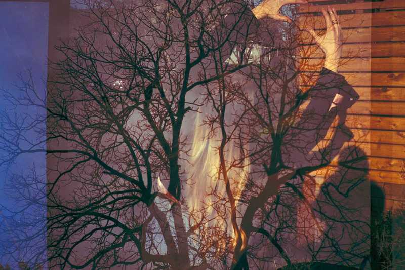 Double exposure of trees mixed with an experimental portrait