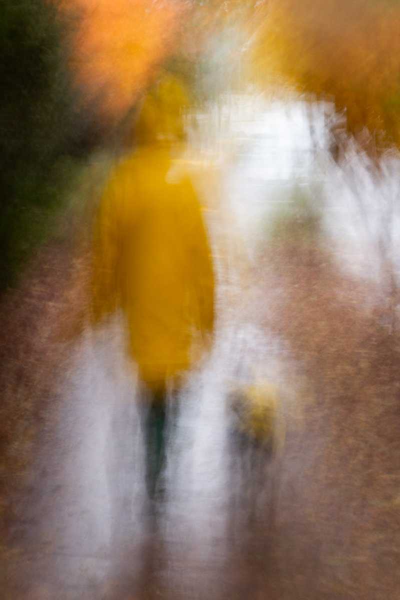 Abstract photo of a woman and dog going on a rainy walk