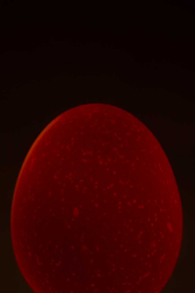 Experimental photo of an egg